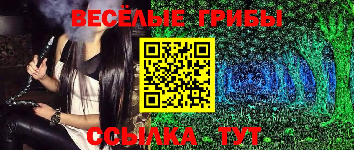 Псилоцибиновые грибы Psilocybe Мценск
